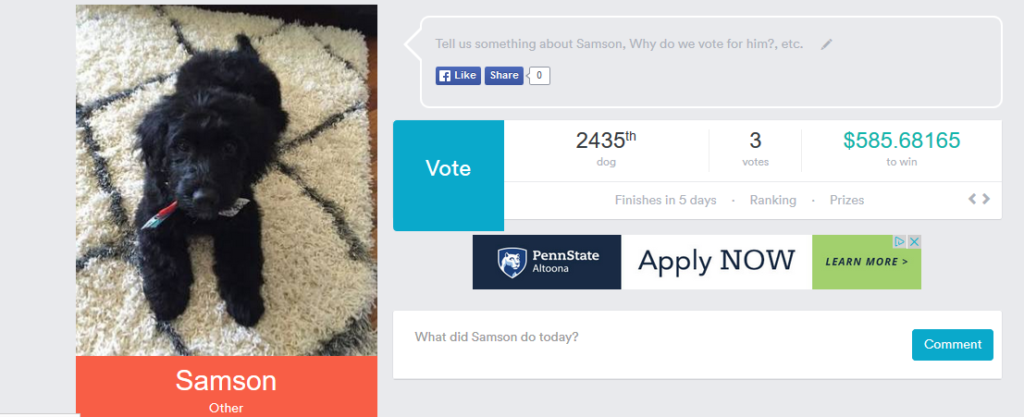 vote for samson